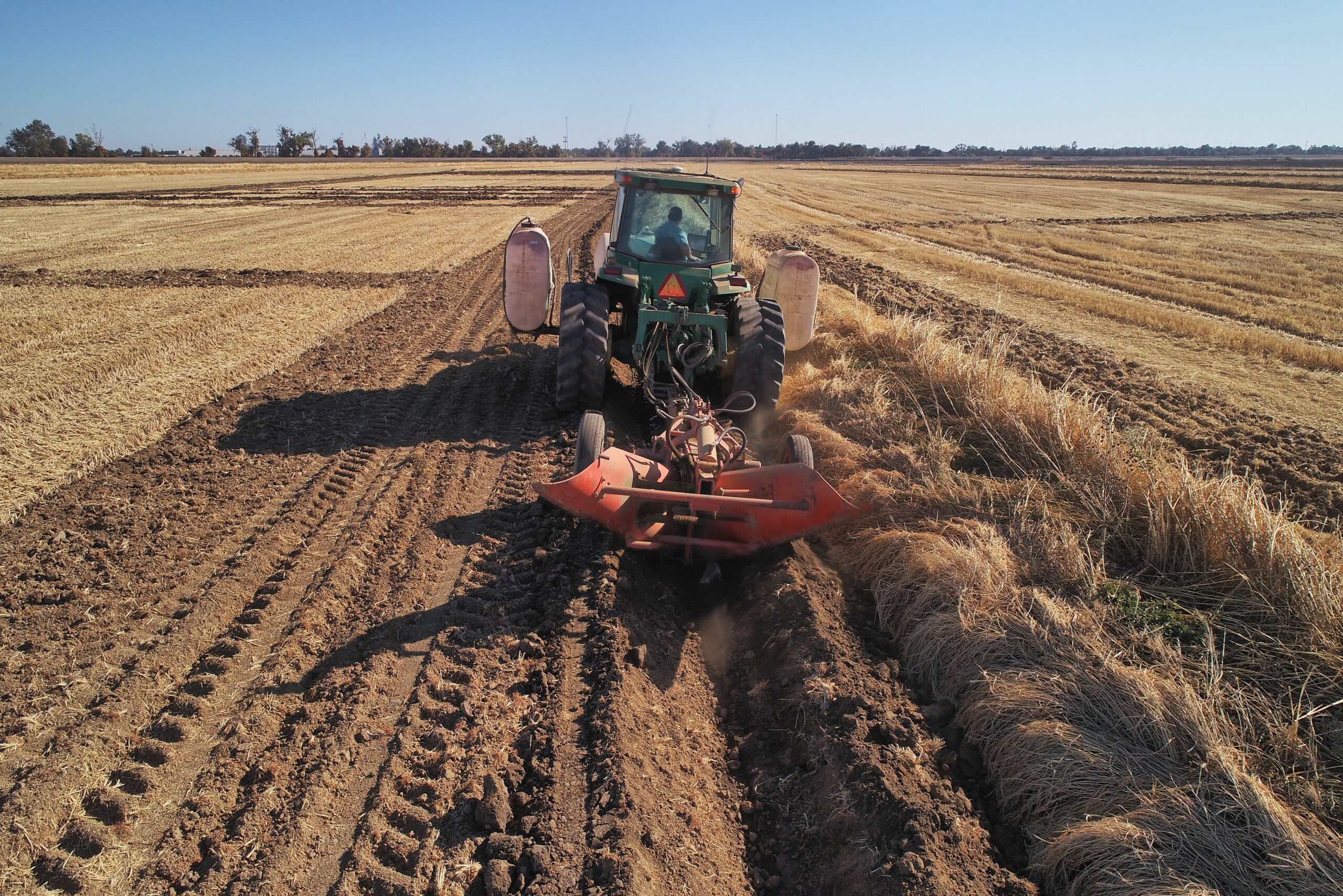 Trenching work  in the field plots
